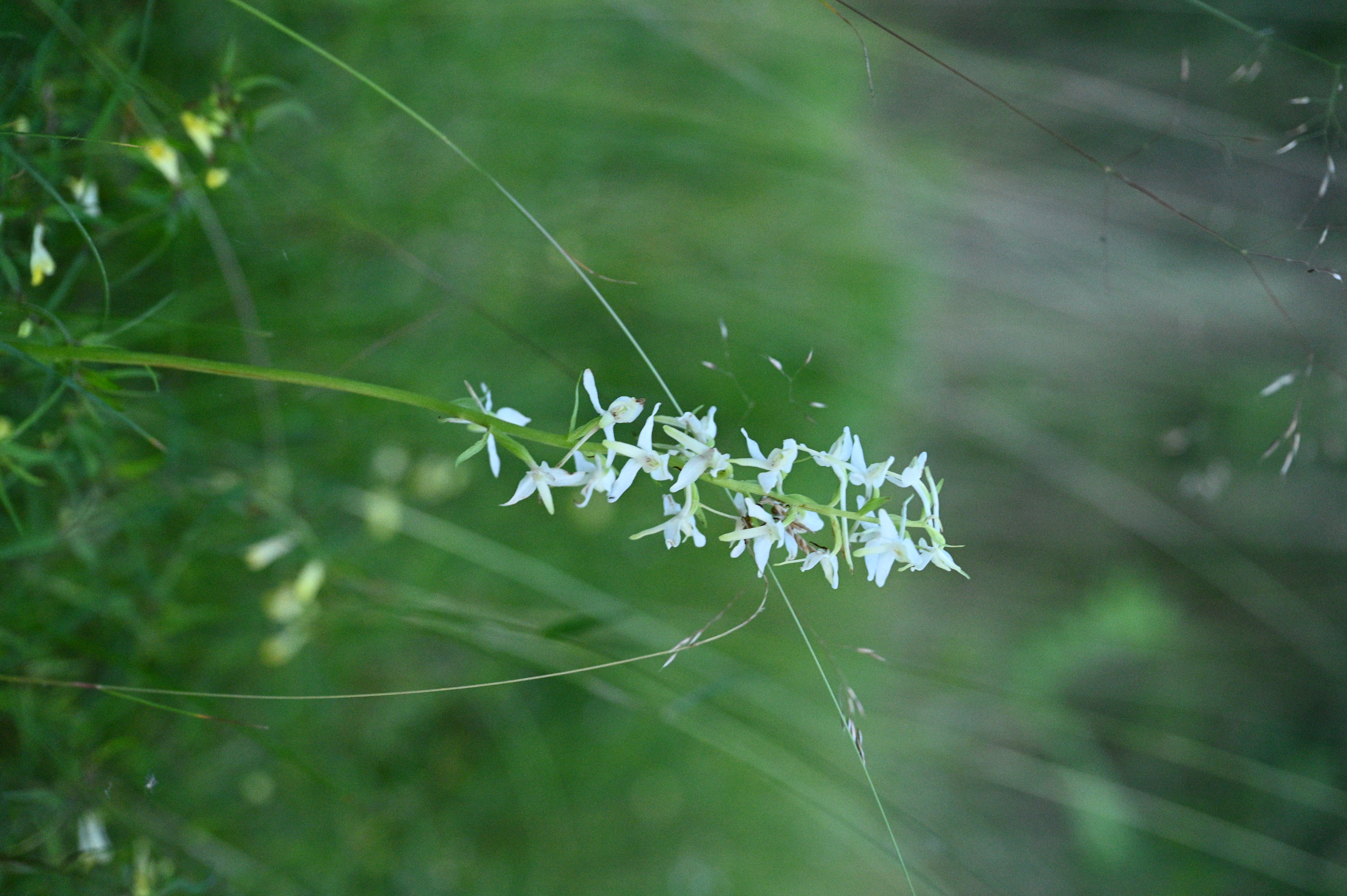 2025/07/09-14 - trip/DSC_0644.JPG